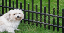 Pet Friendly Aluminum Fence Panels Extra Pickets At the Base of the Fence Panel