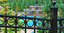 Camelot Aluminum Pool Fencing With Decorative Gold Finials and Circle Enhancements