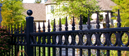Camelot Commercial Aluminum Fence With Optional Finials and Decorative Cirlces