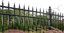 Mission Point Black Metal Residential Fence Panels and Gate With Finials